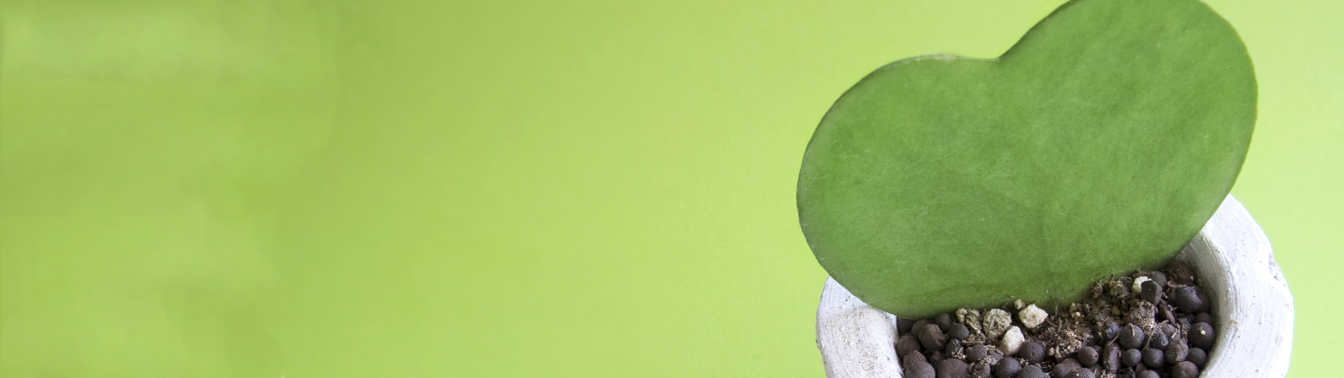 きくなエミールクリニック